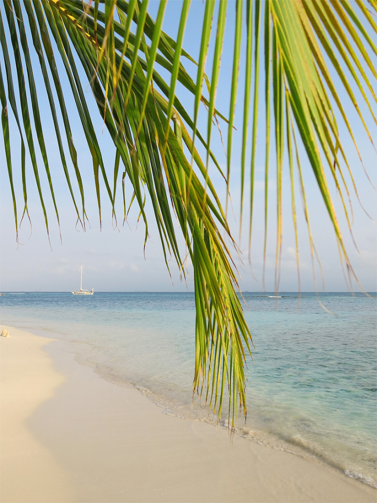 San Blas Isla Diablo